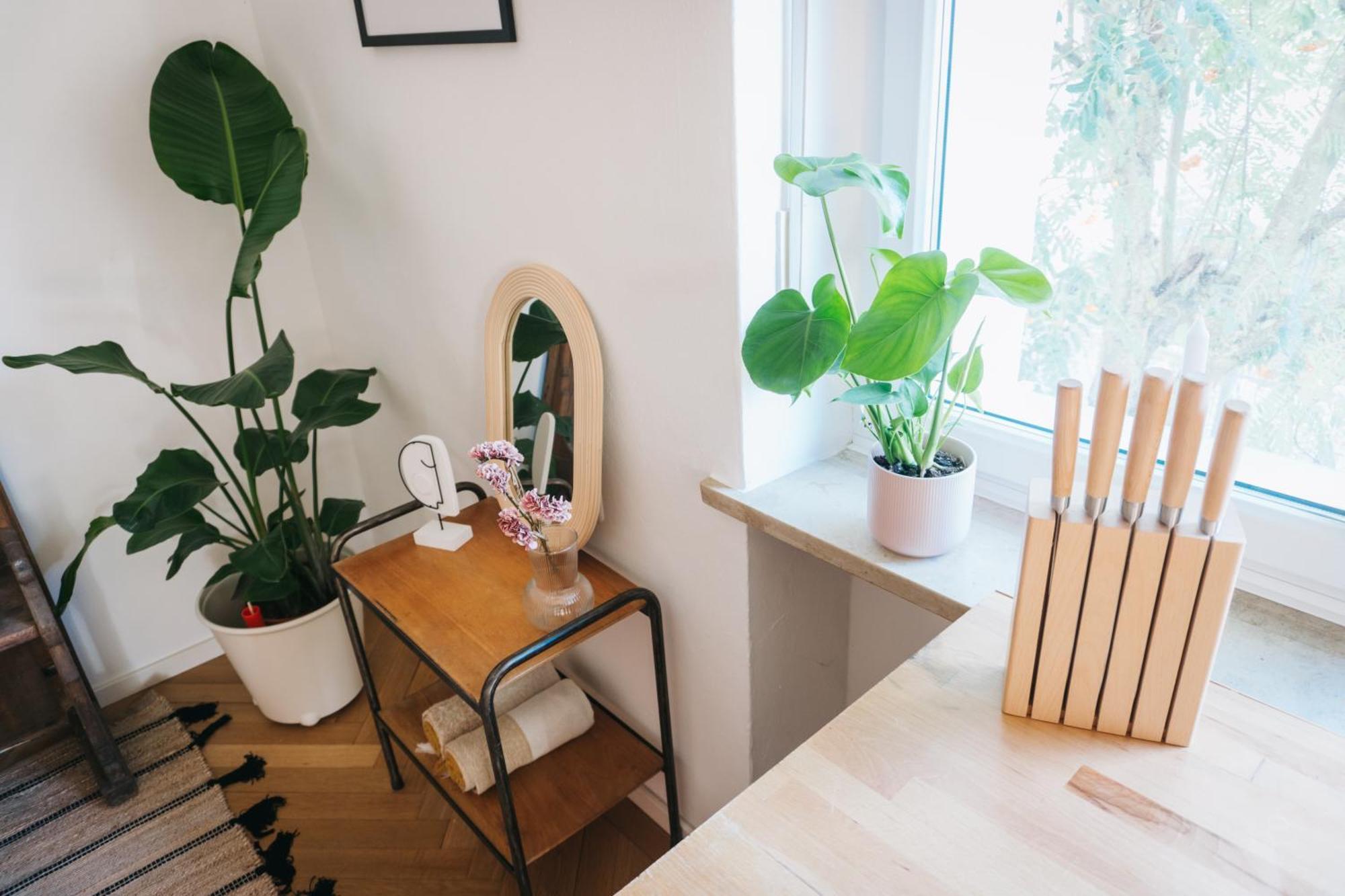 Raum Life - Vintage Loft - Heimkino Netflix - 2X Privat Parkplaetze Apartment Straubing Ngoại thất bức ảnh